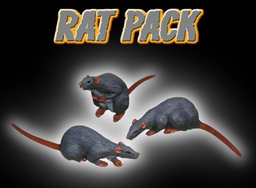 Rat Pack!